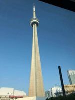 Toronto31